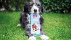 Ballistol Stichfrei Animal Pump-Spray, 100 ml