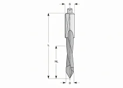 Durchgangsbohrer HW (HM)