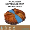 Epoxidharz Woodresin 30 Premium 1,6 kg