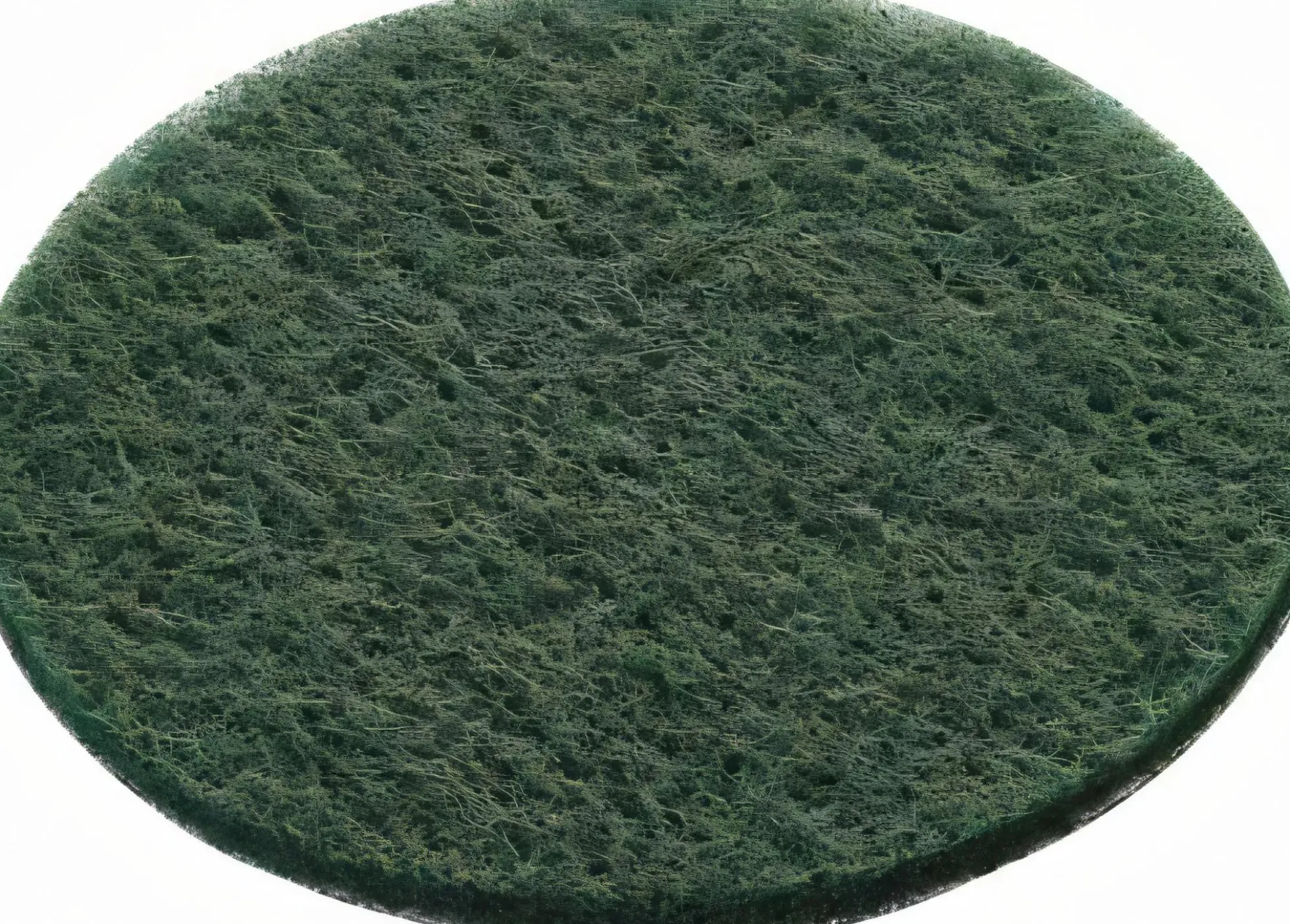 Schleifvlies STF D150/0 green/10