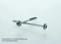 Schneidschrauben Grob 64 mm 250 Stk
