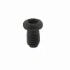 Schraube M2,5 x 5 Torx 8