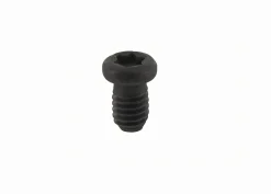 Schraube M2,5 x 5 Torx 8