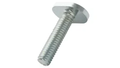 T-Nutenschrauben M6 x 25 mm (10 Stück)