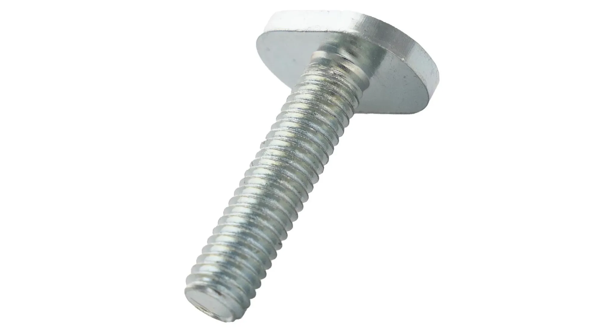 T-Nutenschrauben M6 x 25 mm (10 Stück)