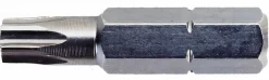 Torx-Bit T25-XH25