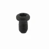 Torx-Schraube M4 x 6