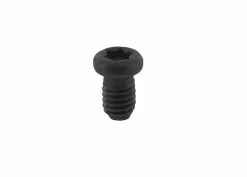 Torx-Schraube T15