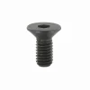 Torx Schraube T15