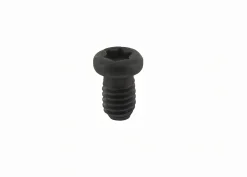 Torx Schraube T15